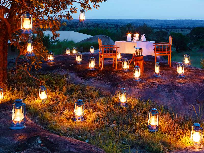 bush-dinner-1