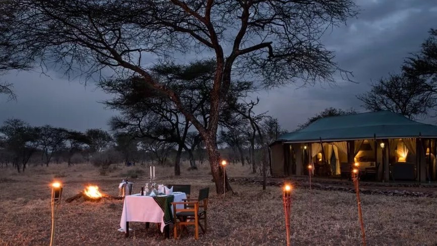 bush-dinner-2