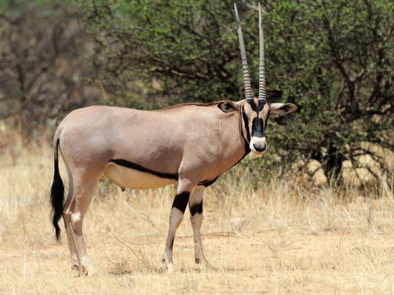 Tanzania_Exp 11