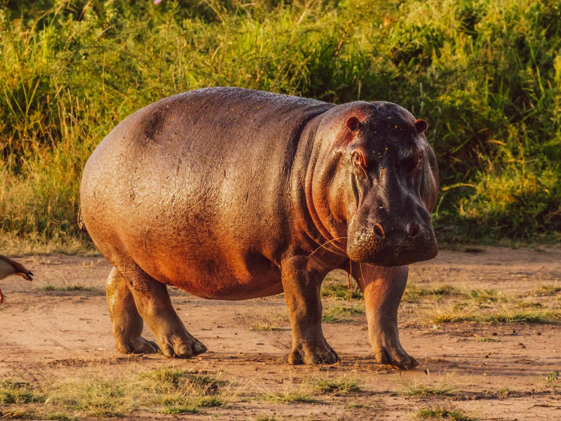 Tanzania_Exp 6